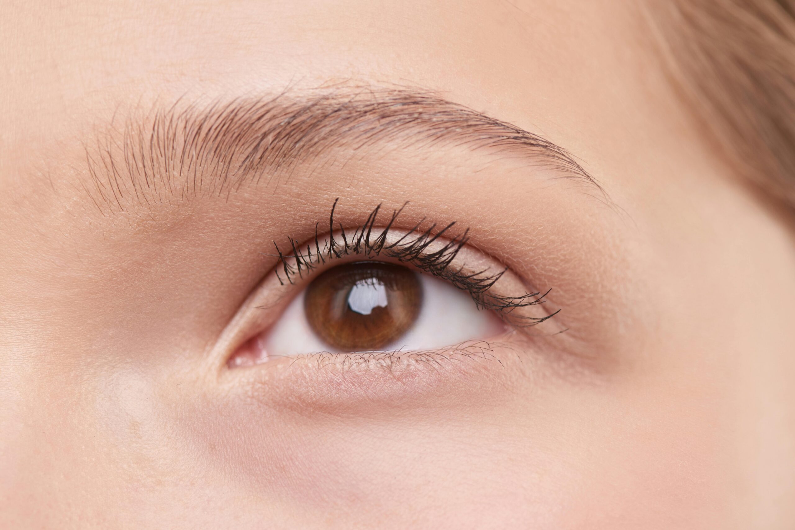 Professional Lash & Brow Tinting